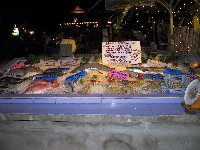 freshfish